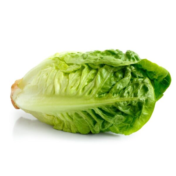 Little Gem Lettuce